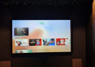 Waterfall Estate Home Cinema